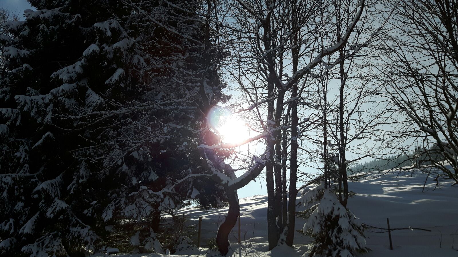 Sonne in Winterlandschaft