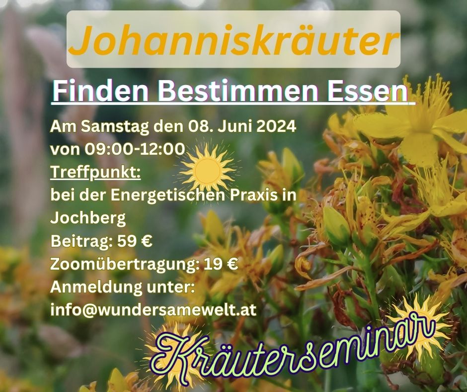Frühlingskräuter-9