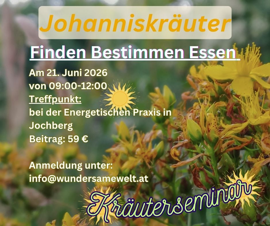 Frühlingskräuter-2 Frühlingskräuter-2